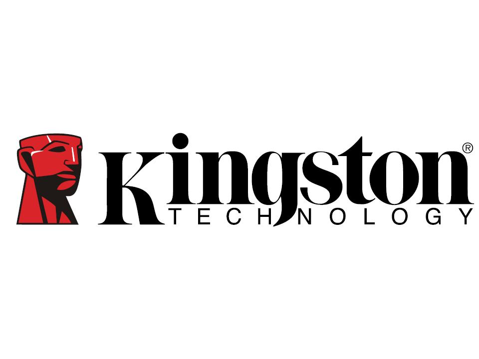 Kingston 标识
